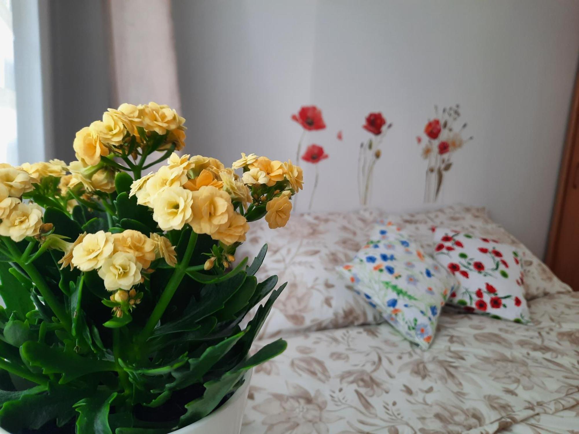 Apartament Baltycka Sardynka Ustka Luaran gambar